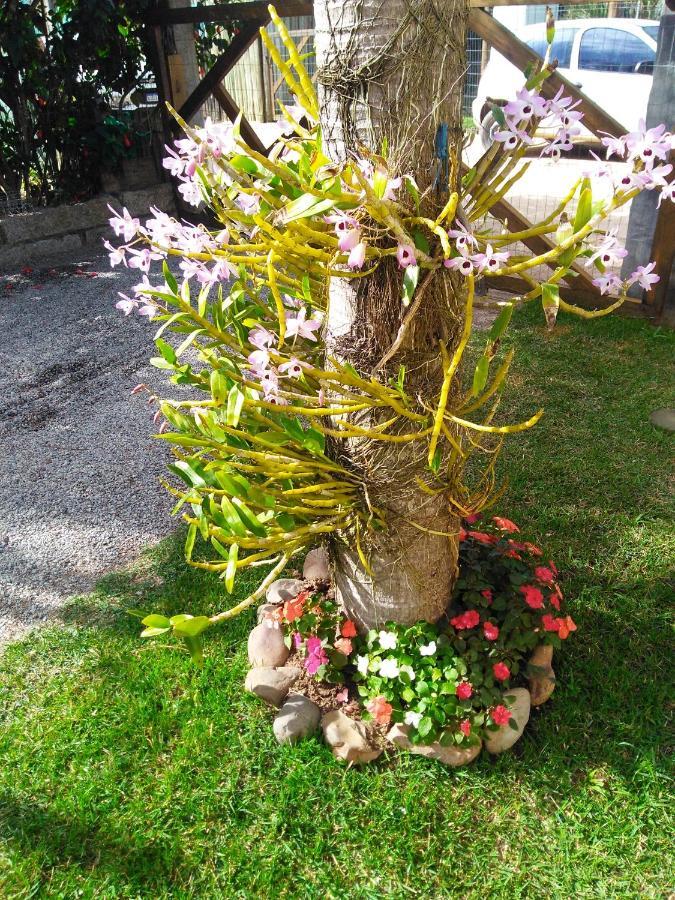 Moradas Cantinho Da Guarda กวาร์ดาโดเอมบาอู ภายนอก รูปภาพ